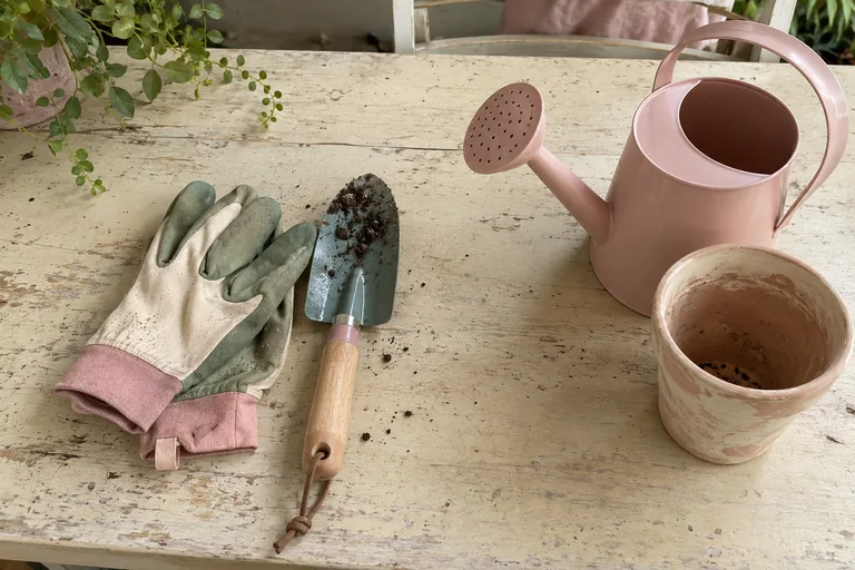 Gants et petite pelle à gauche, arrosoir rose et pot vide à droite sur une table.