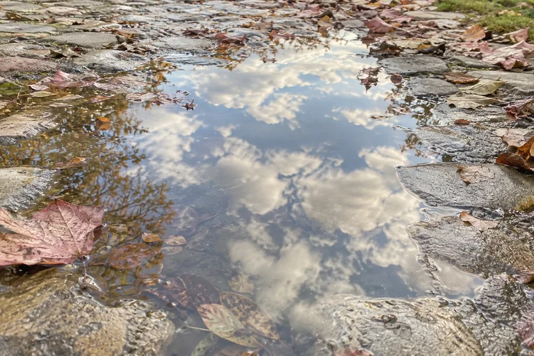Nuages blancs et ciel bleu reflétés dans une flaque entre des pavés couverts de feuilles.